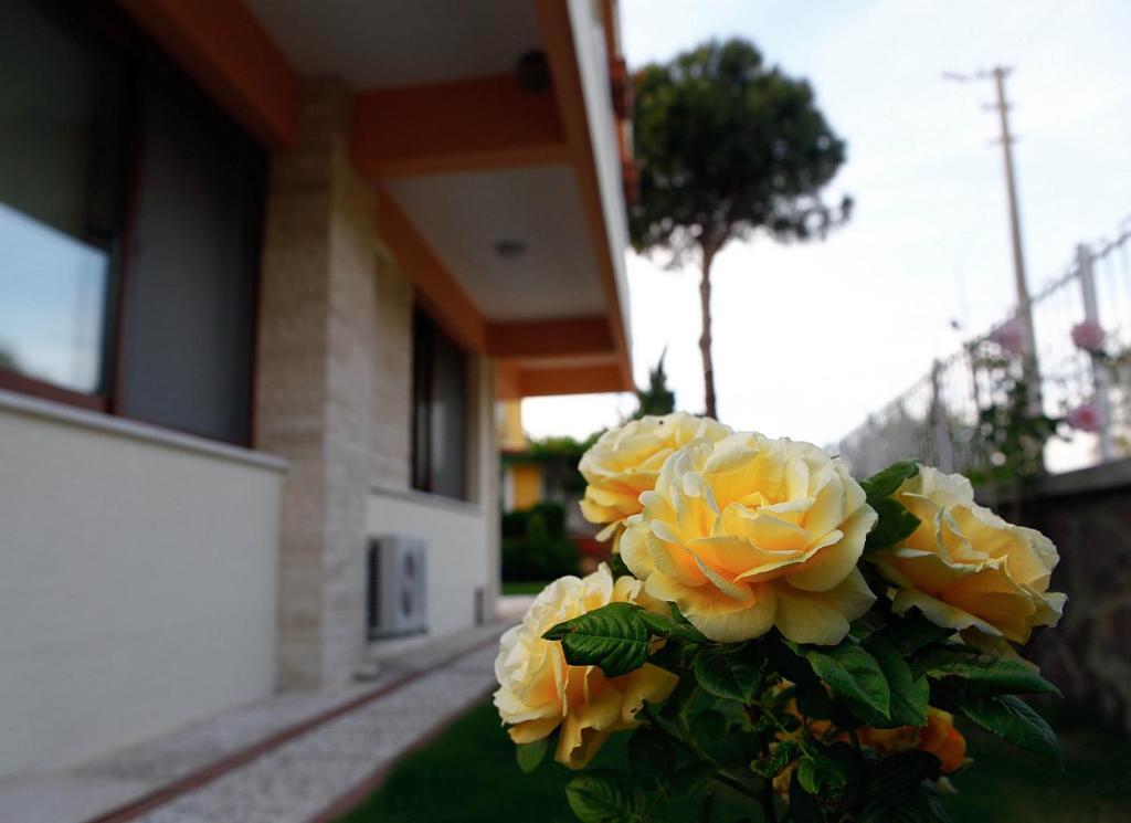 Villa Fokai Hotel Yenifoca Bagian luar foto